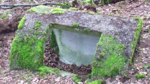 Bunker Mengelenberg.jpeg