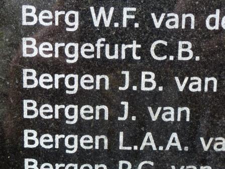 Bestand:2013, BRONBEEK 3 PAGODEN JB V BERGEN.jpeg