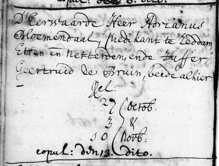 Bestand:Bloemendaal huwelijk 1743 Dchem.jpg