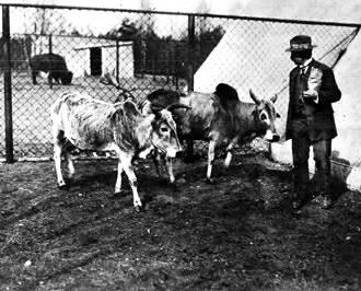 Bestand:Burgers Kroezen.jpg