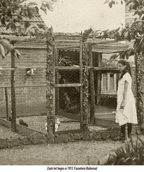 Bestand:Fazanterie Buitenlust S. M.jpg