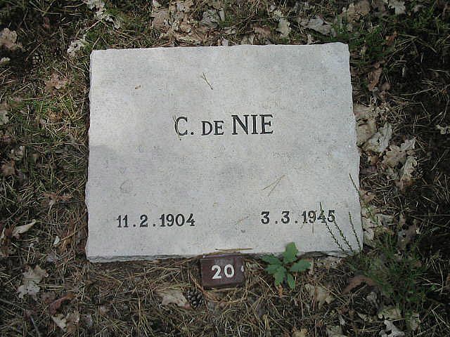 Bestand:Graf De Nie Loenen OGS.jpg