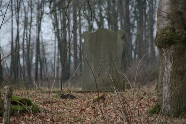 Bestand:Graf Lodewijkvan Nispen.jpg