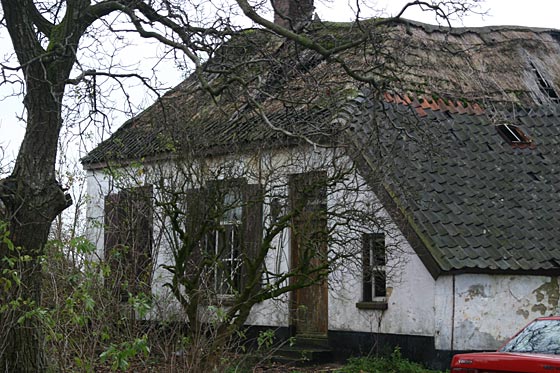 Lengel Pancraas-Smit3.jpg