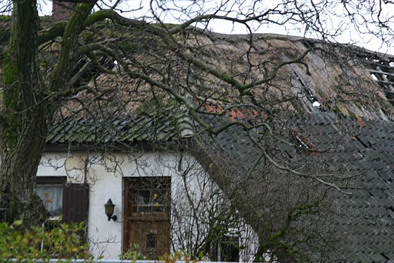 Lengel Pancraas-Smit4.jpg