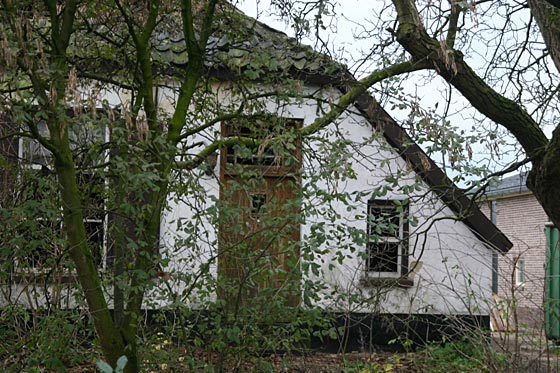 Lengel Pancraas-Smit5.jpg