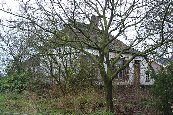 Lengel Pancraas-Smit6.jpg