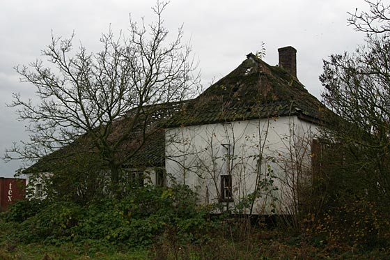 Lengel Pancraas-Smit7.jpg