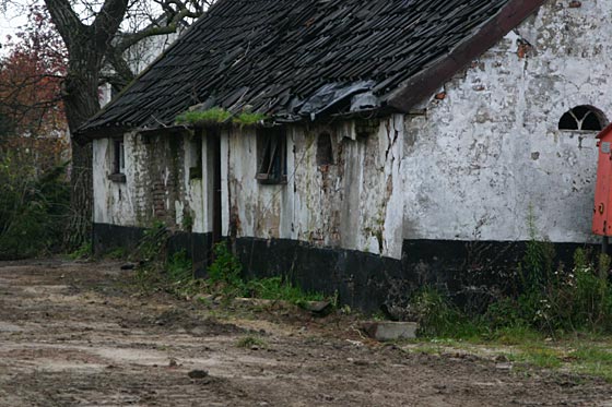 Lengel Pancraas-Smit9.jpg