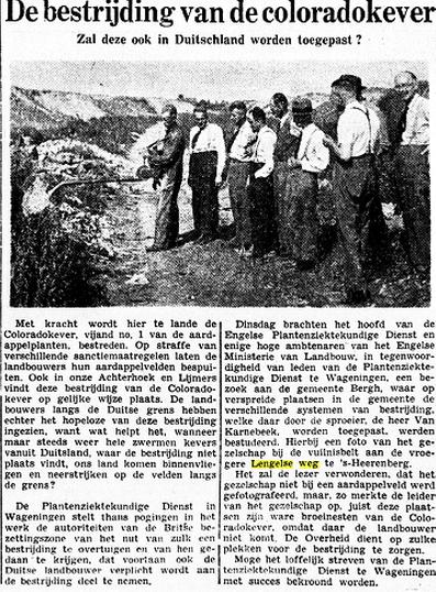 Lengelse weg DDT gebruik.jpg