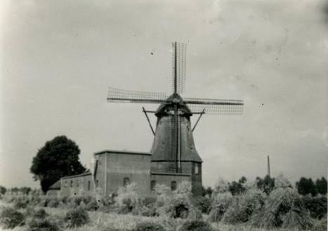 Bestand:Möl azem.jpg