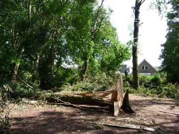 Noodweer stadspark 14-07-2010.jpg