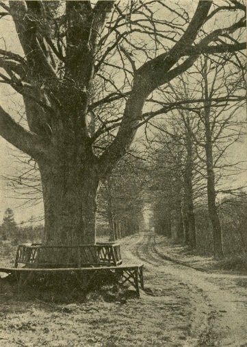 Bestand:Oude koepelbeuk Byvanck.jpg