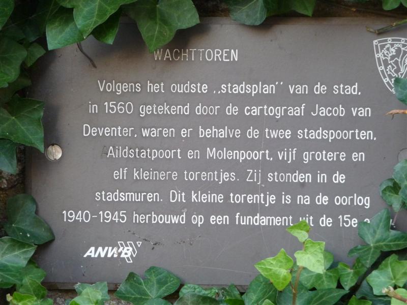 P1020572 (Medium).JPG