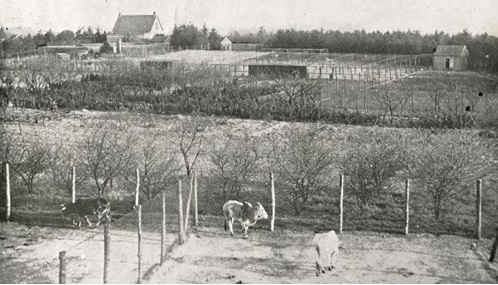 Bestand:Uitzicht over Burgers dierenpark 's-Heerenberg.jpg