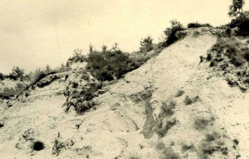 Bestand:Zandgat Beek 1.jpg