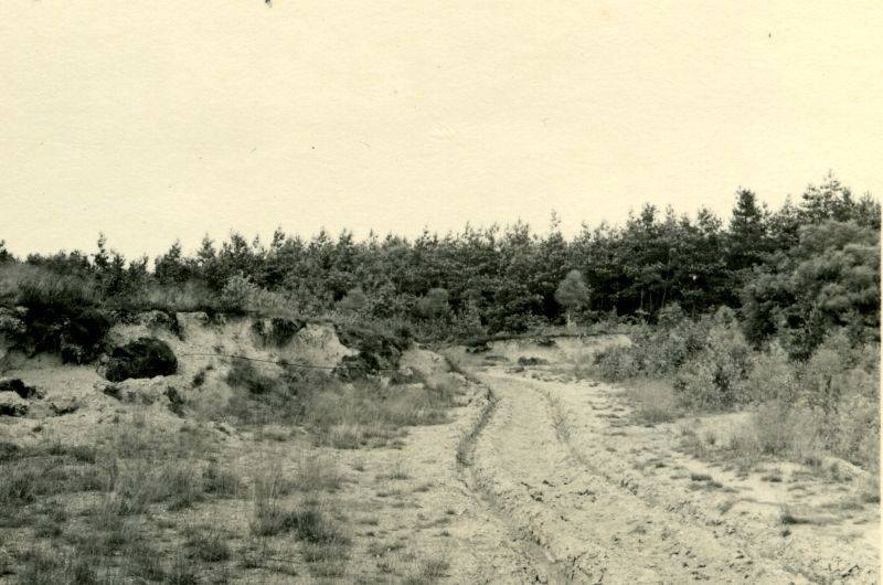 Bestand:Zandgat Beek 7.jpg