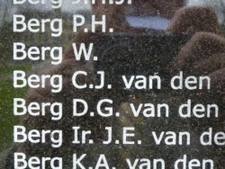 2013, BRONBEEK 3 PAGODEN CJ VD BERG.jpeg