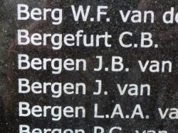 2013, BRONBEEK 3 PAGODEN JB V BERGEN.jpeg