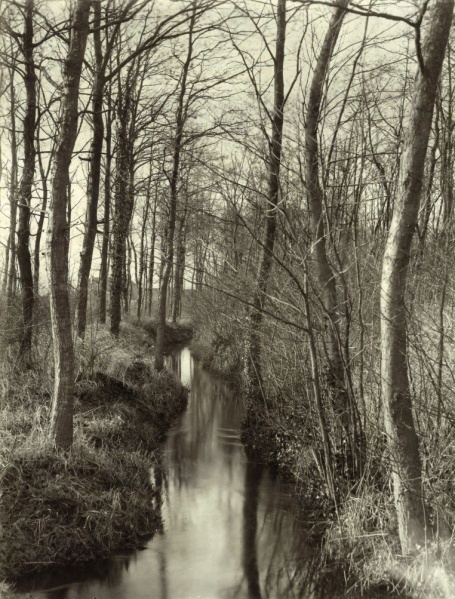 Bestand:Boschpartij van de Hooge Steeg en den Byvank 17-01-1915 (3).jpg