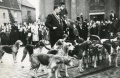 Burgemeester A.J.M. Nederveen neemt afscheid. Hier omringt door de honden van de slipjacht 1953.jpg