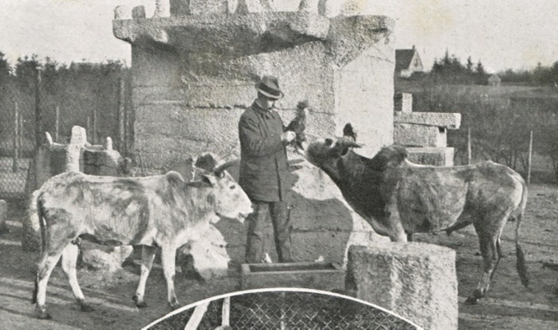 Bestand:Burgers bij zijn dieren in 's-Heerenberg 1900.jpg
