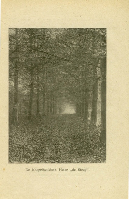 de Koepelbeuklaan Huize de Steeg blz 52