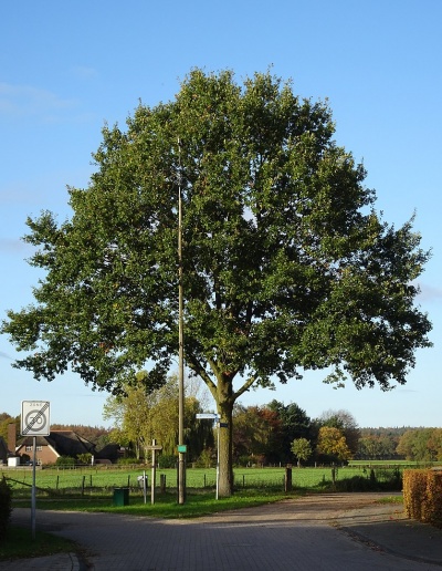 Hagelkruis Stokkum PM19-01.jpg