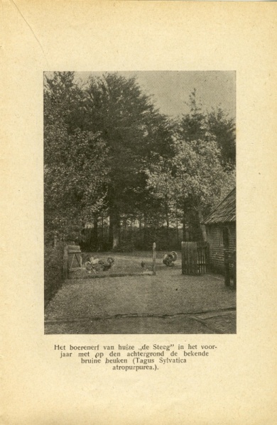 Bestand:Het boerderij erf Huize De Steeg blz 43.jpg