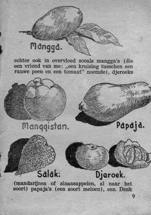 JB01 tropisch fruit.jpg
