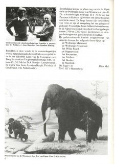 Kopie van Old Ni-js 13 aangepast blz 6.jpg