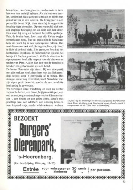 Kopie van Old Ni-js 15 aangepast 43.jpg