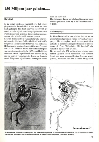 Bestand:Kopie van Old Ni-js 17 aangepast blz 45.jpg