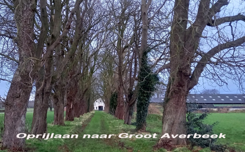 Bestand:Oprijlaan naar Groot Averbeek.jpg