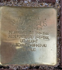 Sara Strauss.jpg
