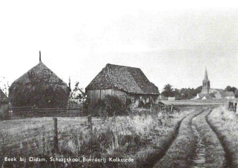 Bestand:Schaapskooi Boerderij kolkstede.jpg