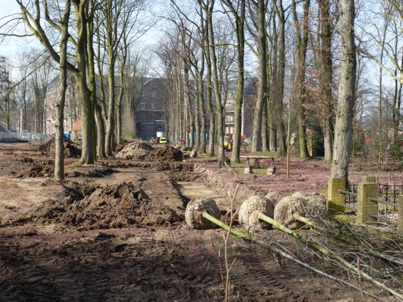 Bestand:Stadsparklaan foto gemaakt bij de Harp Heerenberg.jpg