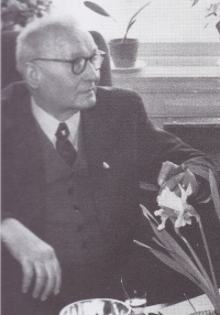 Theodorus Fredericus Johannes Holleman.jpg