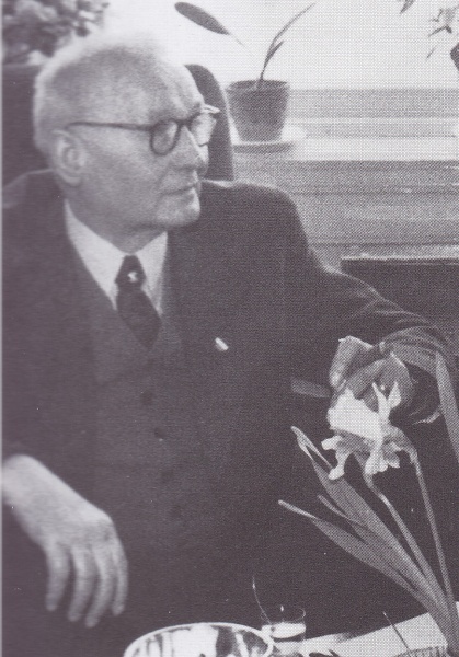 Bestand:Theodorus Fredericus Johannes Holleman.jpg