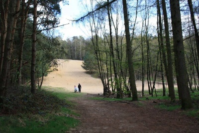 Zandgat Beek kleur.jpg
